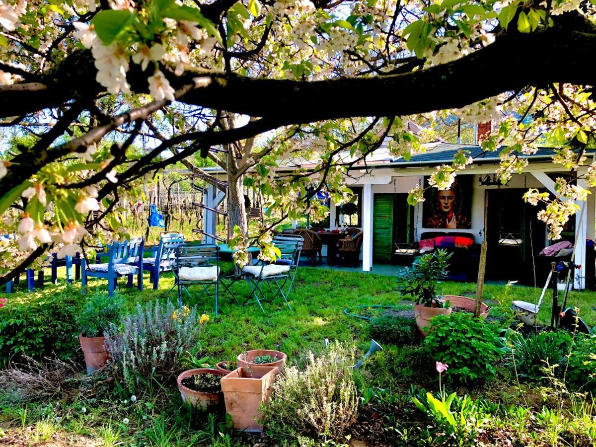 Bohemian Eco Lodge At Lake Balaton Kisapati 外观 照片