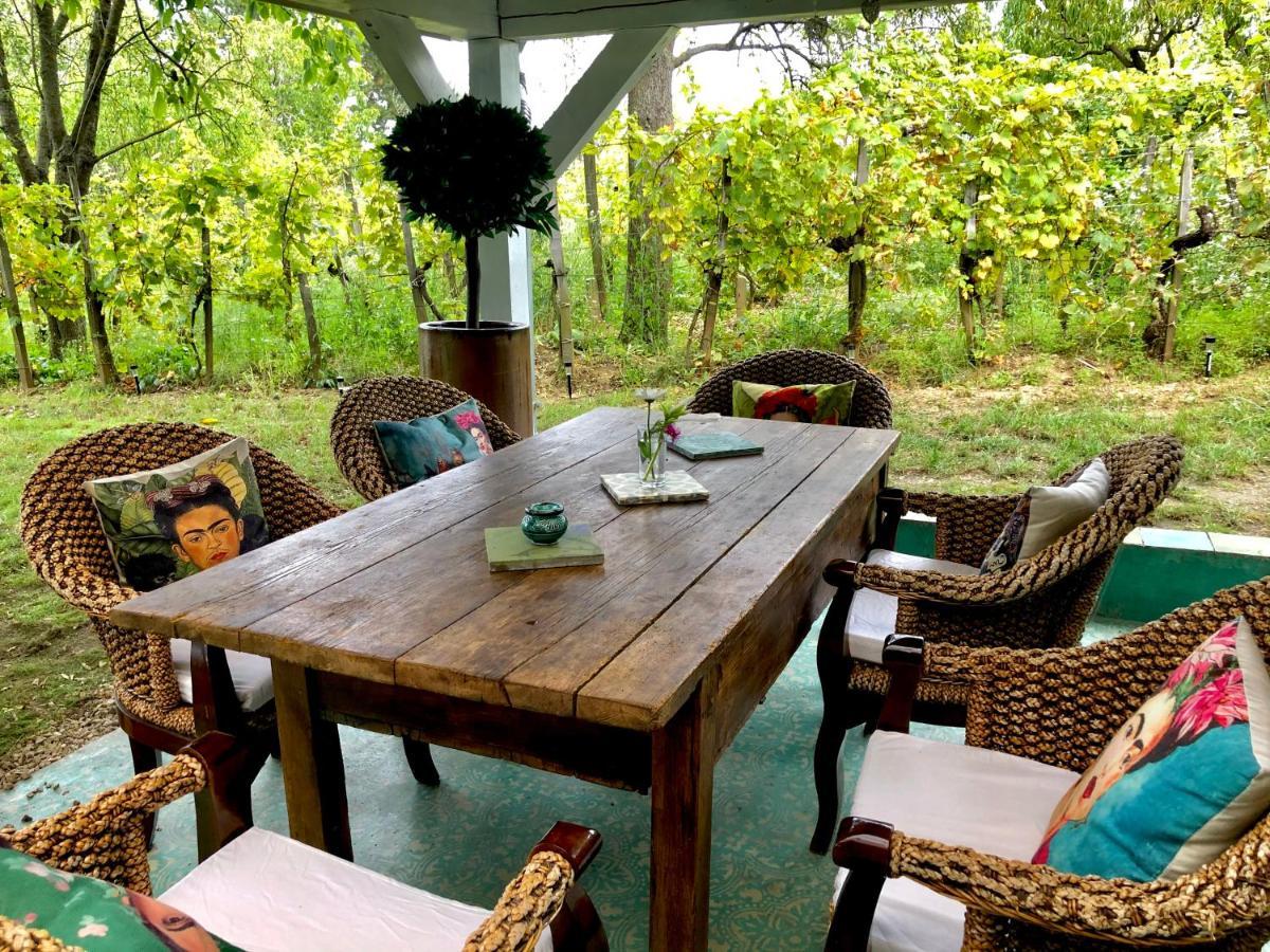 Bohemian Eco Lodge At Lake Balaton Kisapati 外观 照片