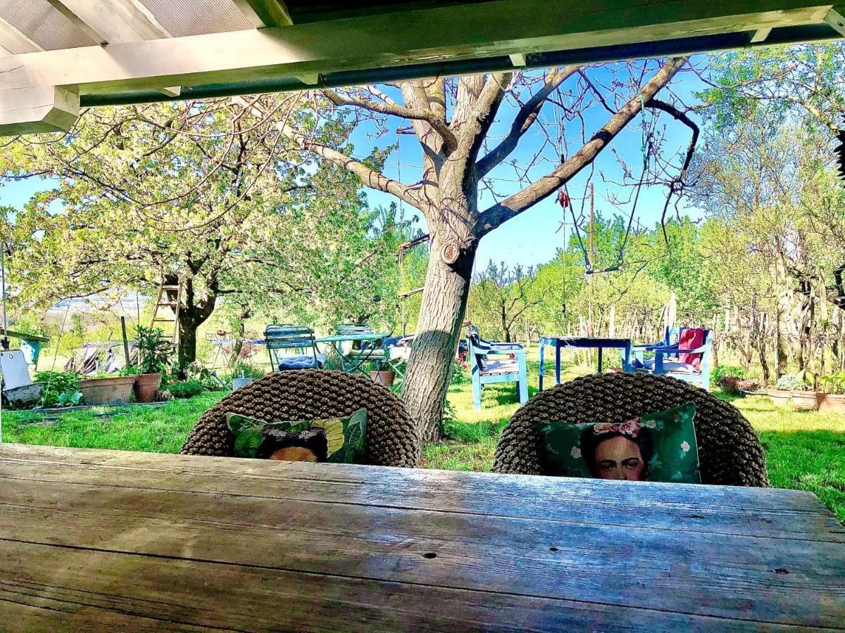 Bohemian Eco Lodge At Lake Balaton Kisapati 外观 照片